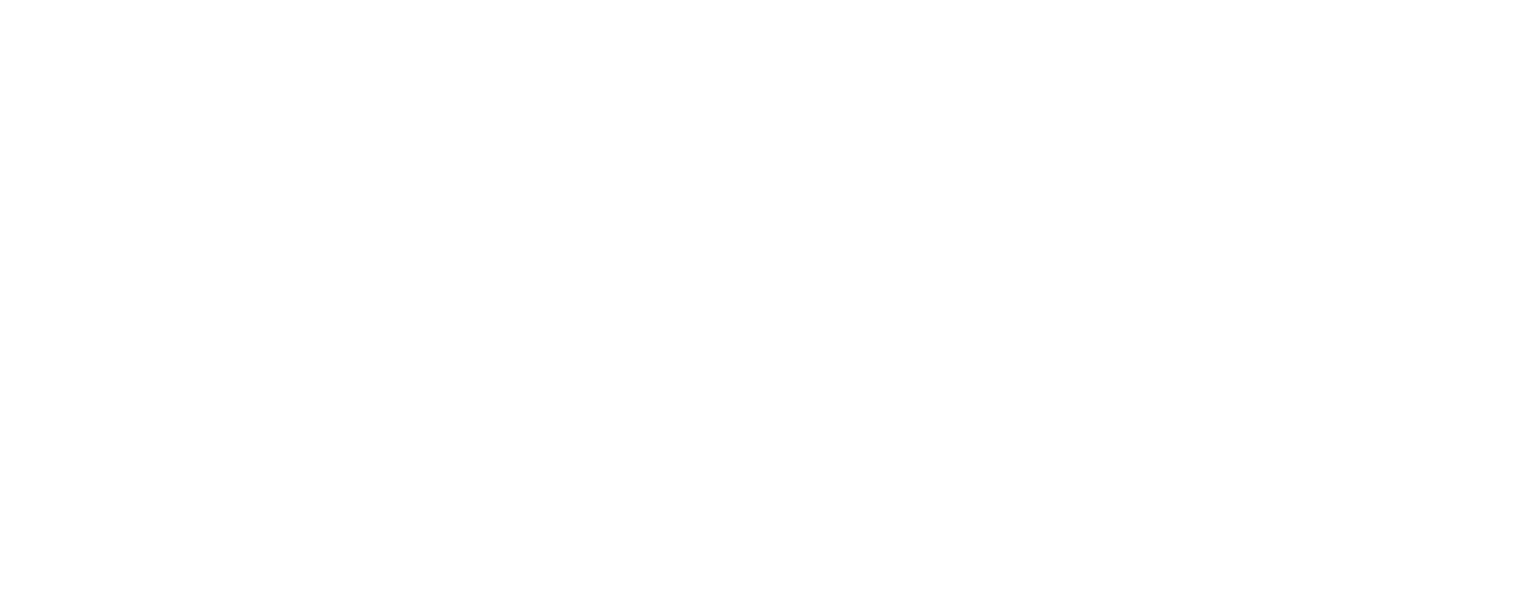 blu logo